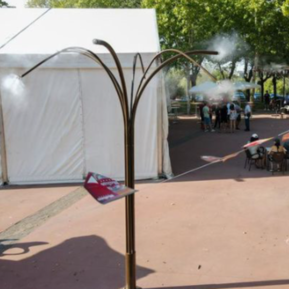Nebulization palm tree for places and events | Drip&Fresh