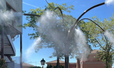 Palmera de Nebulización | Frescura para Eventos y Plazas